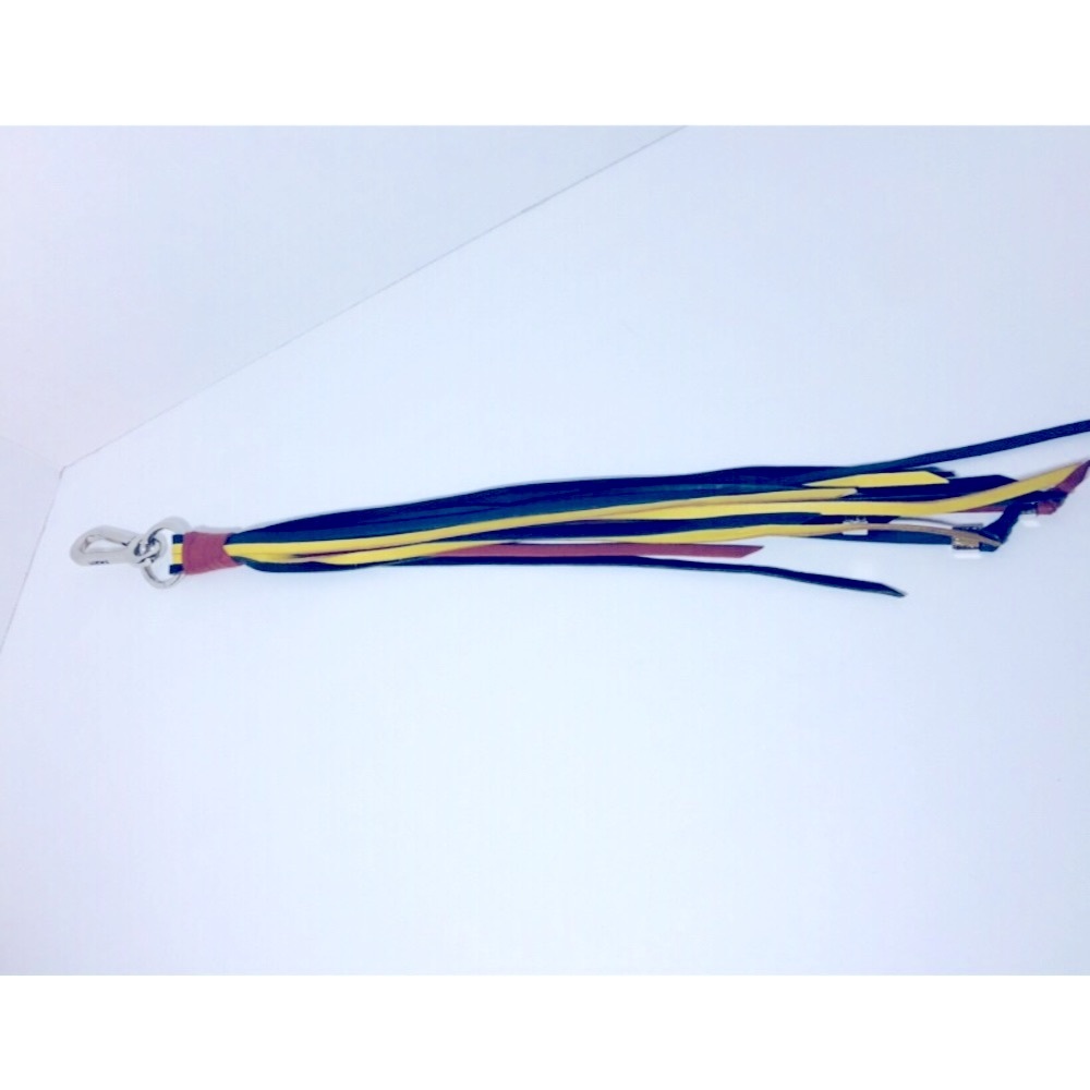 Loewe Multi Color Tassel Key Chain/Handbag Charm